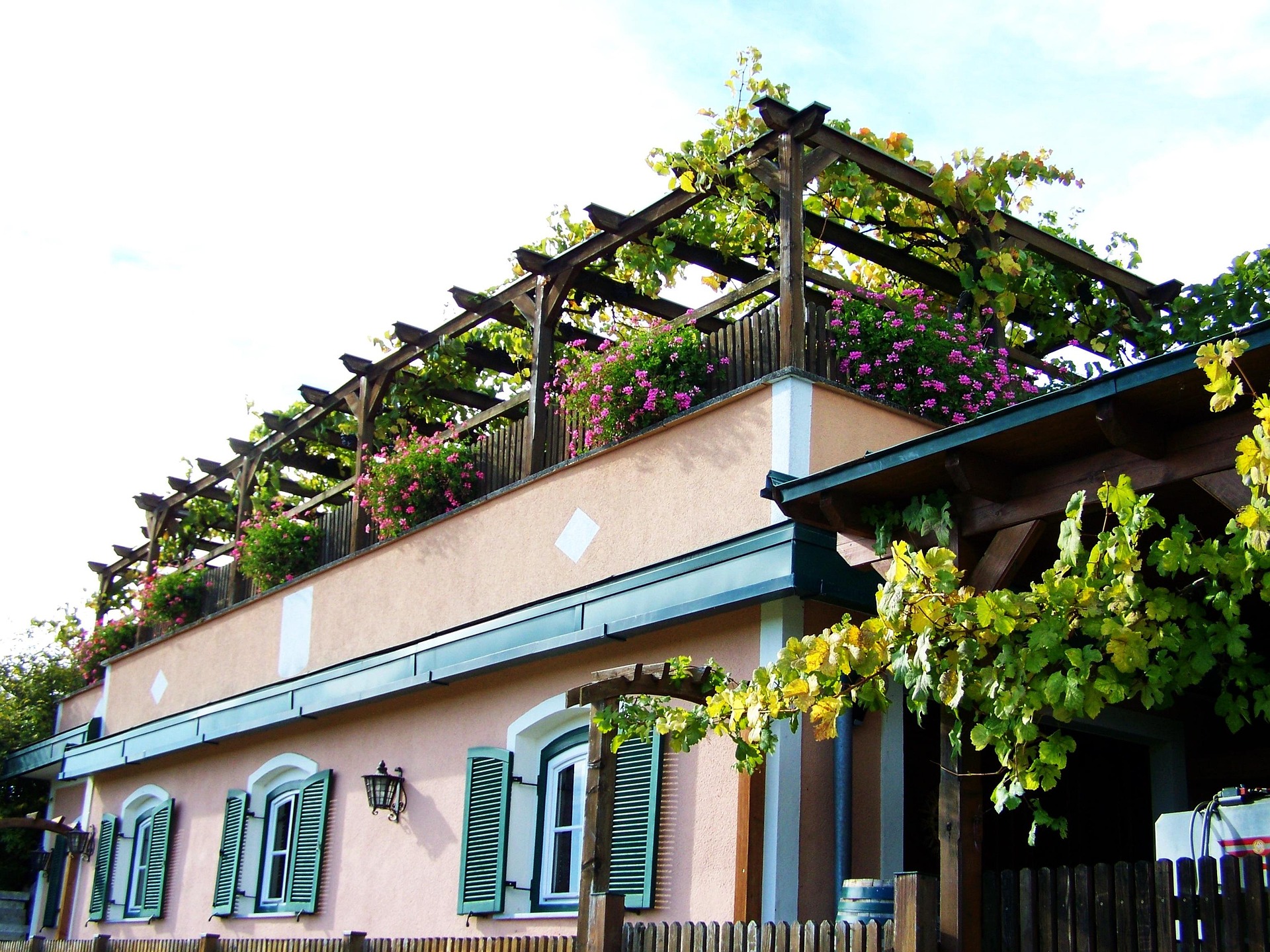 Terrace gardening image