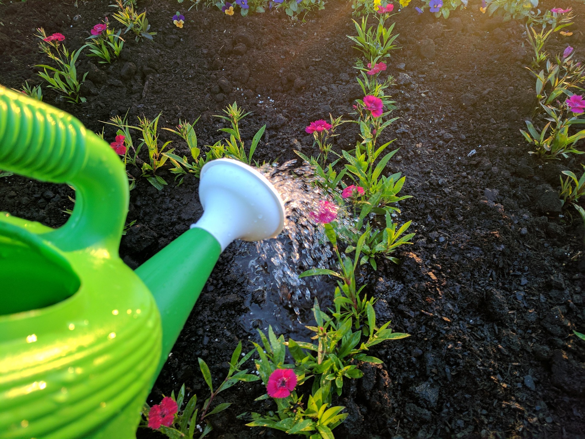 watering in terrace garden